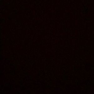 Meet your Posher, Dylan